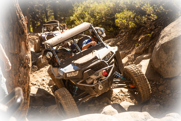 Image of UTV on the trail